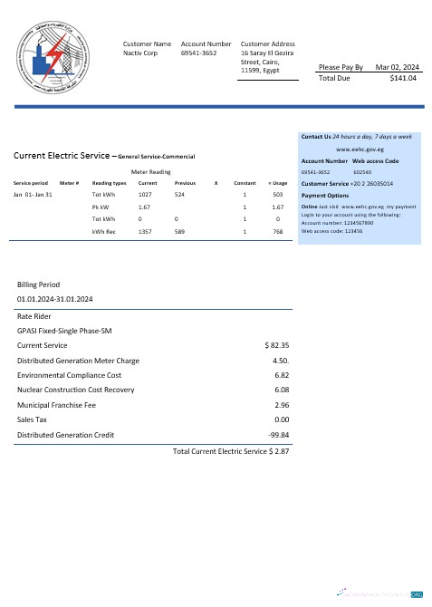 Egypt Egyptian Electricity business utility bill template in Word and pdf formats